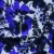 1.1317.1-GENERATION.26.01-COLOR.17A-02.jpg